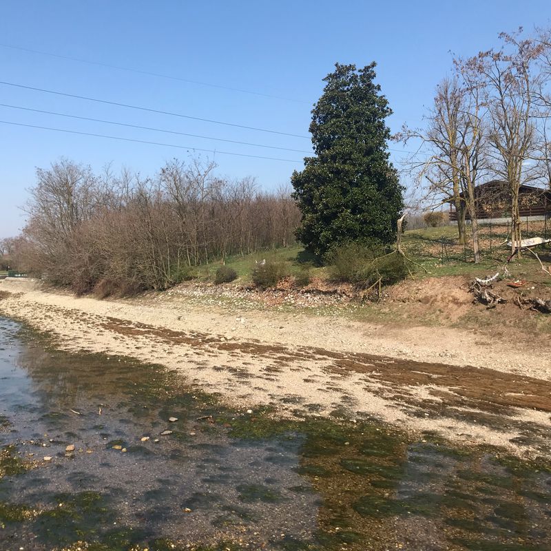 Naviglio Grande - Bernate Ticino
