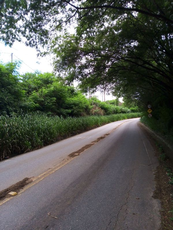 Estrada Velha de Salto de Pirapora