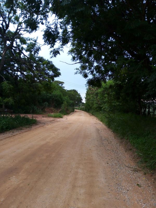 Estrada Velha de Salto de Pirapora
