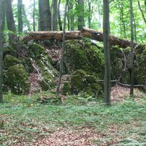 Częstochowa - Olsztyn - Słowik - Częstochowa
