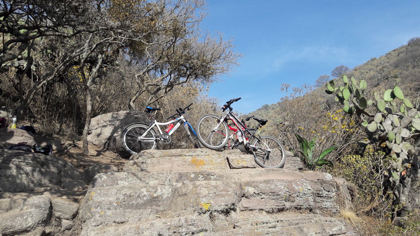De Carretera Federal 85 47, Ecatepec de Morelos a Nezahualcóyotl 45, Ecatepec de Morelos