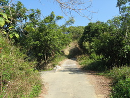 Highlight 4 along the Bikemap route "Explorer 燕巢環線  (˙實騎版)" Highlight 4 along the Bikemap route "Explorer 燕巢環線  (˙實騎版)"