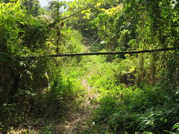 Highlight 5 along the Bikemap route "Explorer 燕巢環線  (˙實騎版)" Highlight 5 along the Bikemap route "Explorer 燕巢環線  (˙實騎版)"