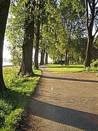 Hebe Bild 10 entlang der Bikemap-Route "Zons Radtour " hervor