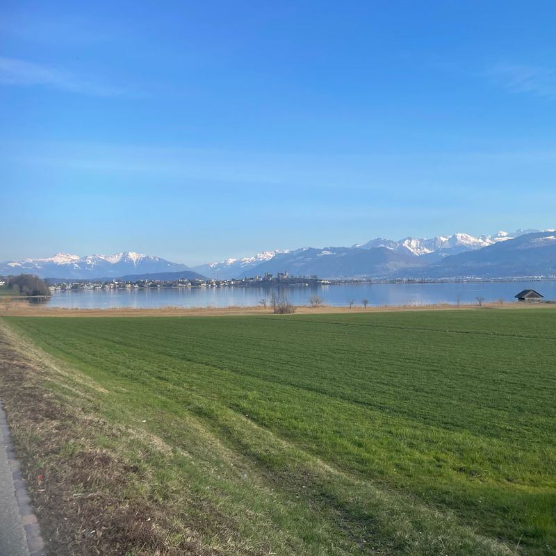 Lagerstrasse 16B, Zürich to Schöntalstrasse 1, Zürich