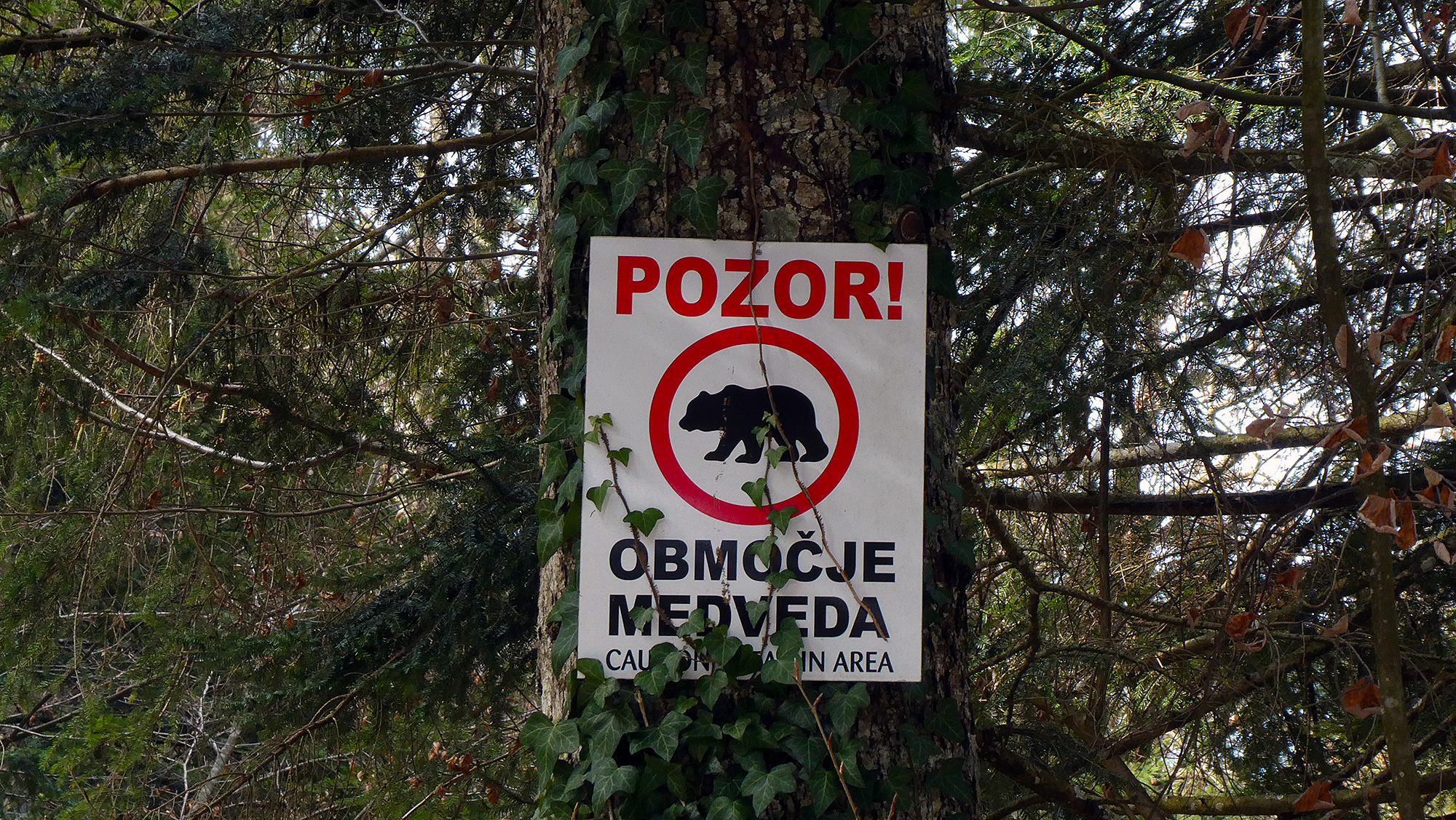 MTB to Slivnica - where the witches are from