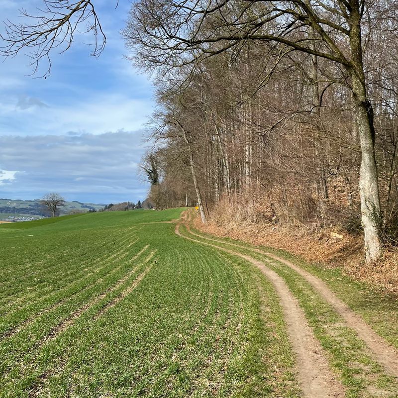 Mülacher 24, Buttisholz nach Mülacher 24, Buttisholz