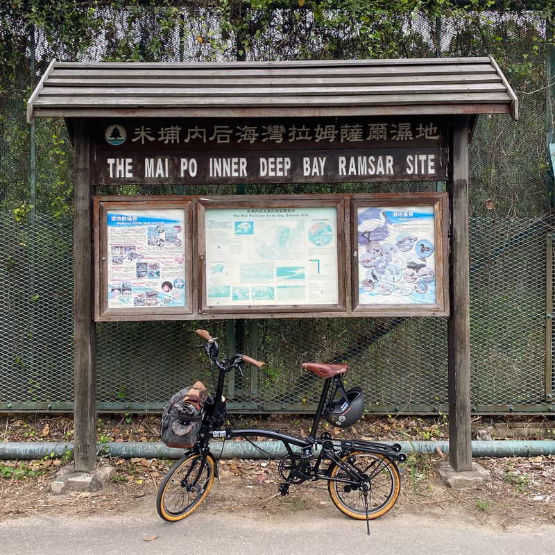 屯赤隧道、尖鼻咀、天水圍、Accro Coffee、上水