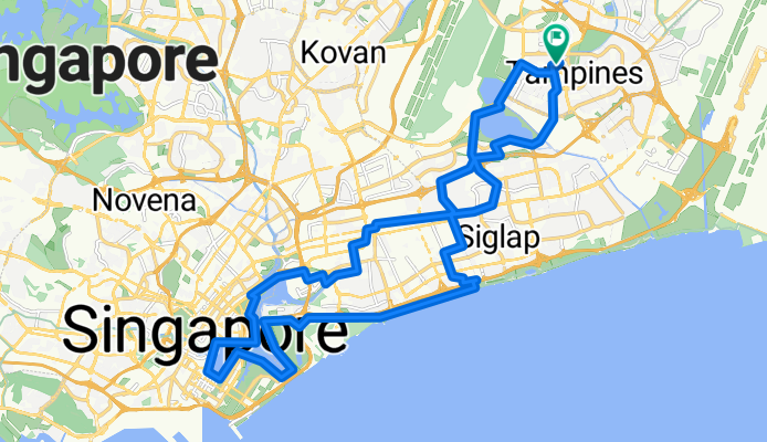 Siglap/East Coast/MBS loop/Geylang