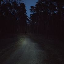 Foto 7 de la ruta de Bikemap "Wrocław - Szymanów - Wrocław - wałami"