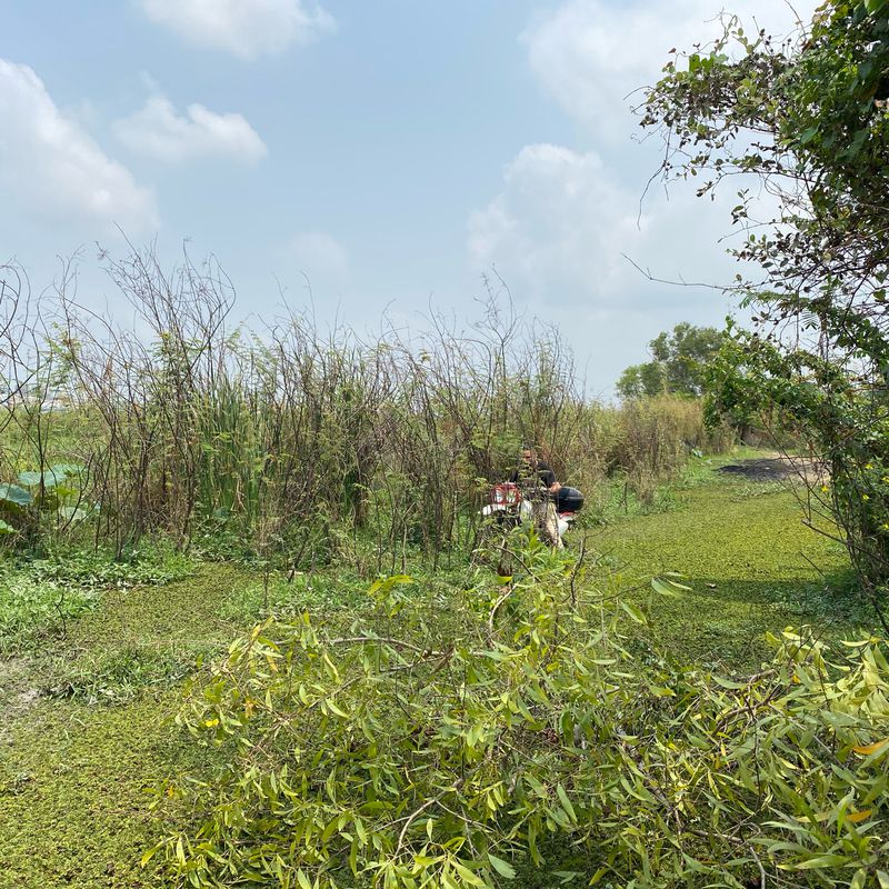 German Gang via KFW Harald
