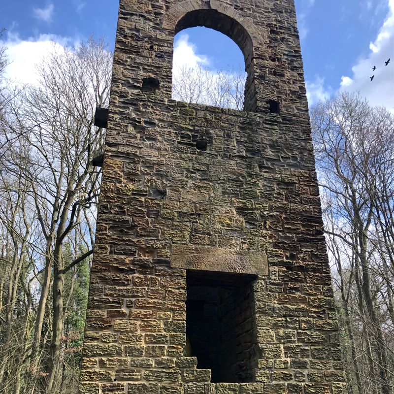 Burncross-Penistone-Dodworth-Birdwell Loop