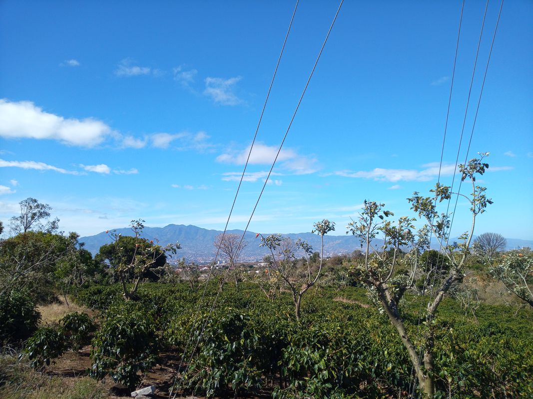 De Avenida 7, San Rafael a Calle 8, San Rafael
