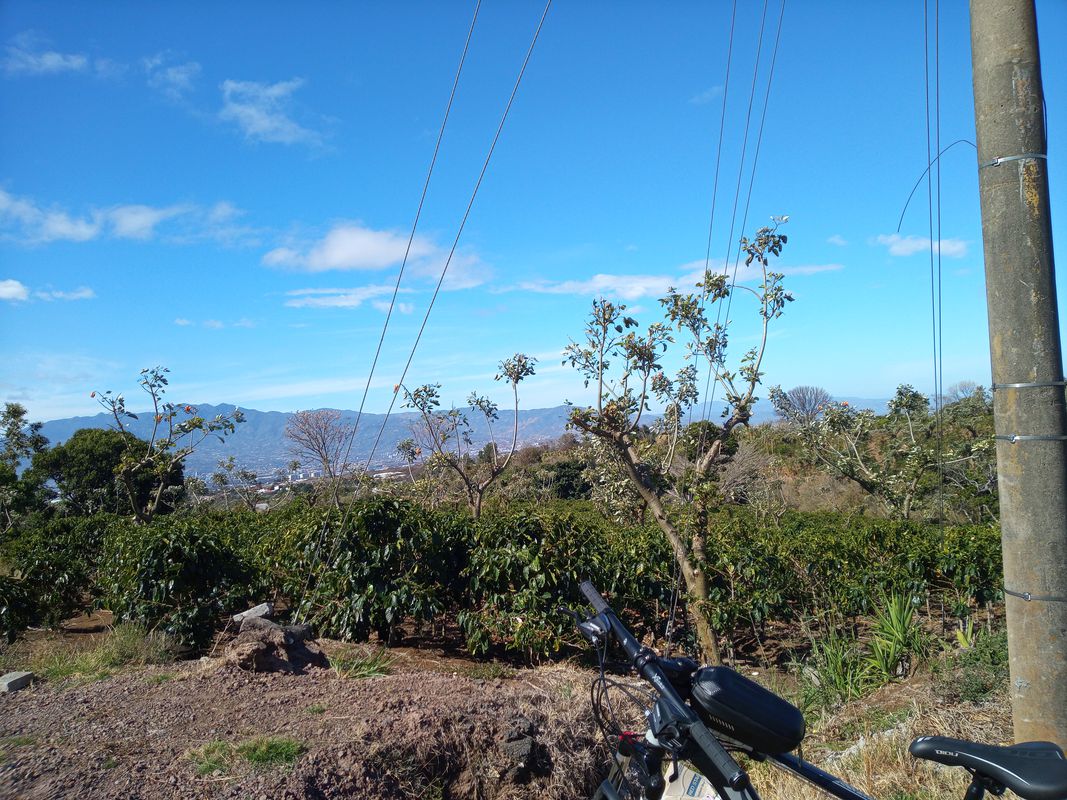 De Avenida 7, San Rafael a Calle 8, San Rafael