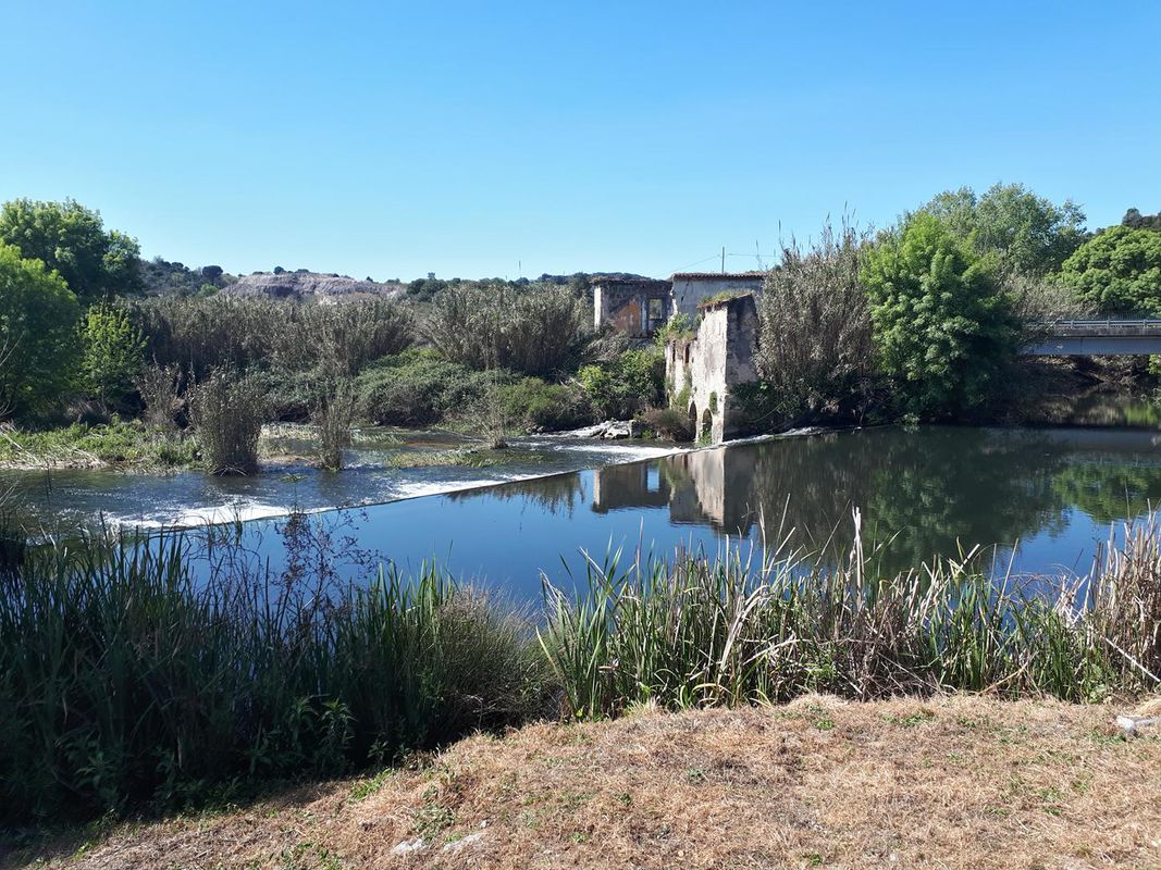 Olhos d'àgua_Rio Alviela_Pernes
