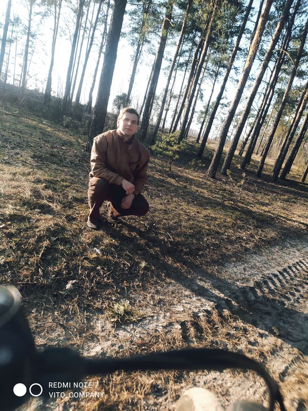 струга лес