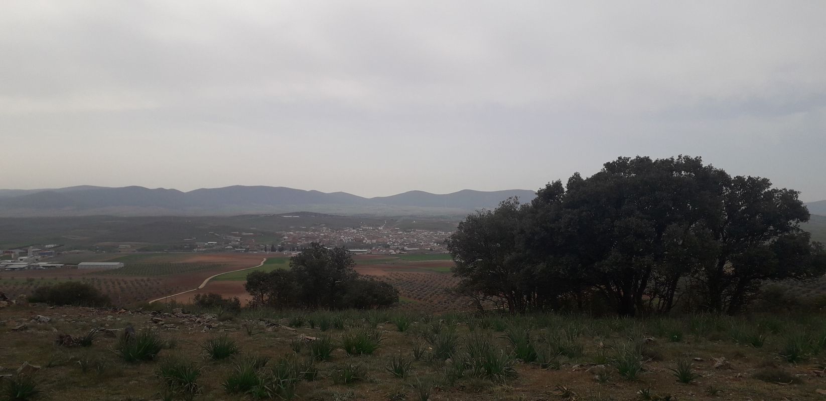 molino cuerno sierra el oso
