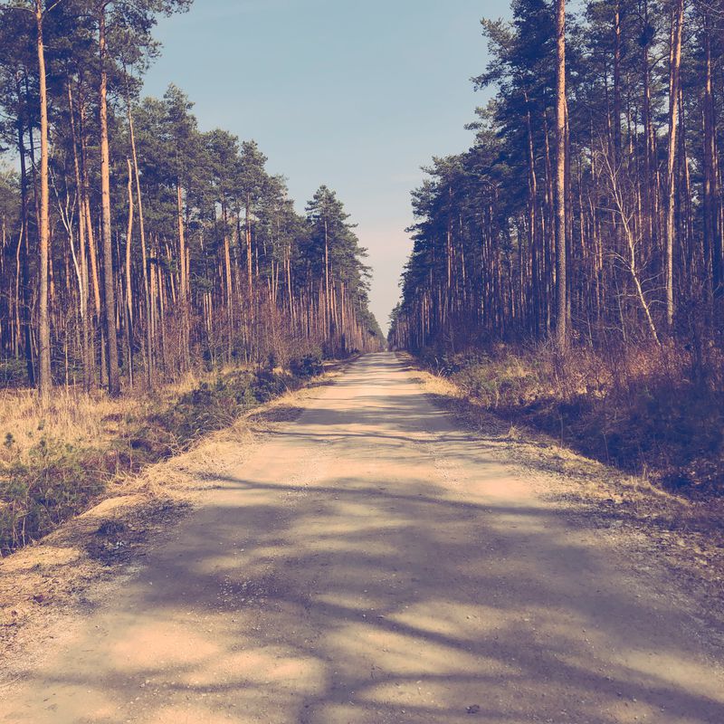 Trasa do Władysława Broniewskiego 19, Piotrków Trybunalski