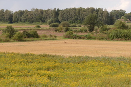 Highlight 4 along the Bikemap route "TCZEW-STEBLEWO-KIEZMARK-LESZKOWY-GIEMLICE-TCZEW" Highlight 4 along the Bikemap route "TCZEW-STEBLEWO-KIEZMARK-LESZKOWY-GIEMLICE-TCZEW"