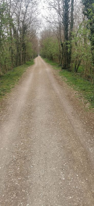 Da Via Padovana 23, Santa Cristina a Viale dello Sport 2, Dolo