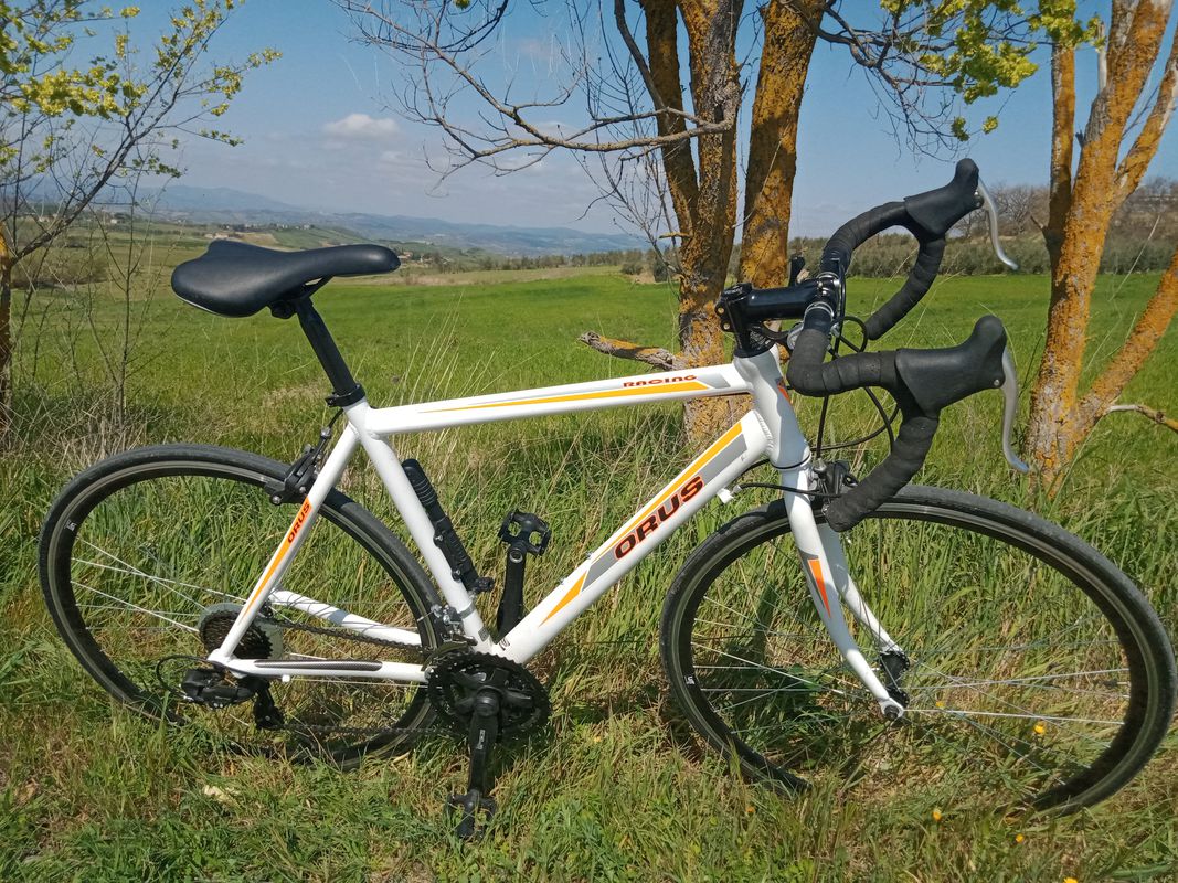 Da Via del Ponte 30, Montegiovi a Strada Provinciale Porrona, Cinigiano