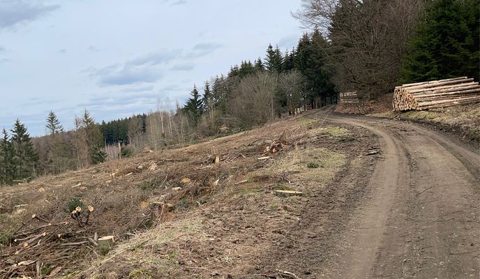 Foto 1 der Bikemap-Route "von Frechenhausen über den Funkturm nach Lixfeld zurück nach Frechenhausen"