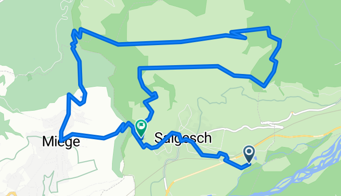 Salgesch Var 2