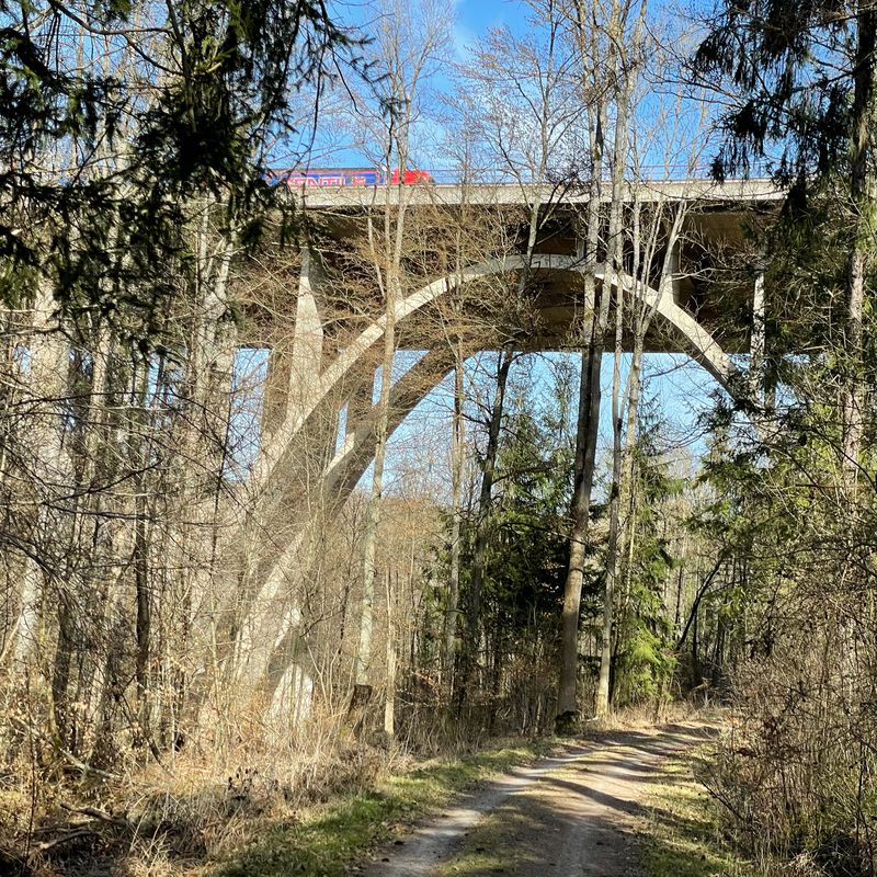 Möhringen - Solitude, Birkenkopf_42km 480hm