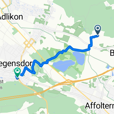 Katzenrüti, Rümlang do Hönggerstrasse 98, Regensdorf