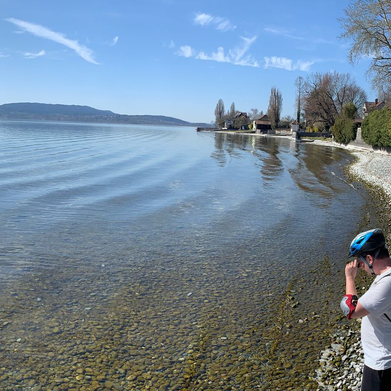 Reichenau