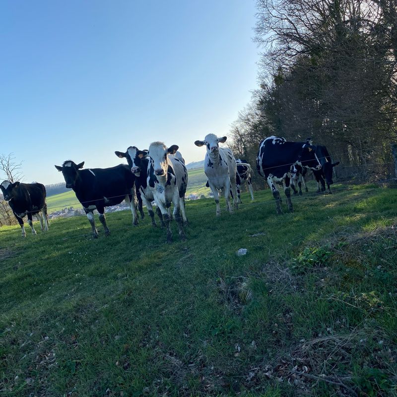 De 348 Rue du Château, Evaux-et-Ménil à 348 Rue du Château, Evaux-et-Ménil