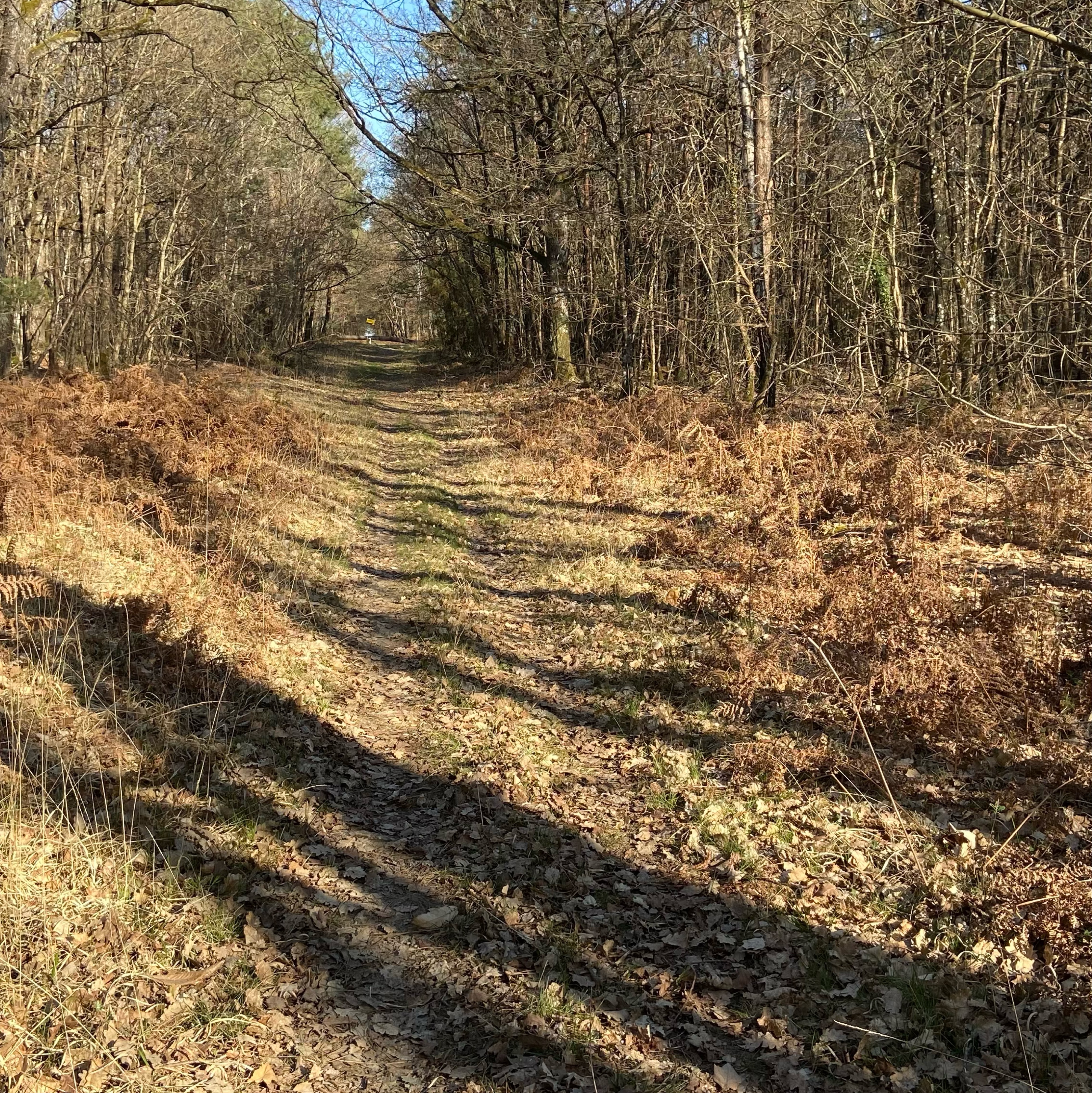 De 474 L'Écluse de Vallagon, Bourré à 474 L'Écluse de Vallagon, Bourré
