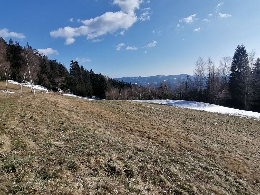 Mislinja-Karbunovo-Dovze-Mislinja 24.03.2021