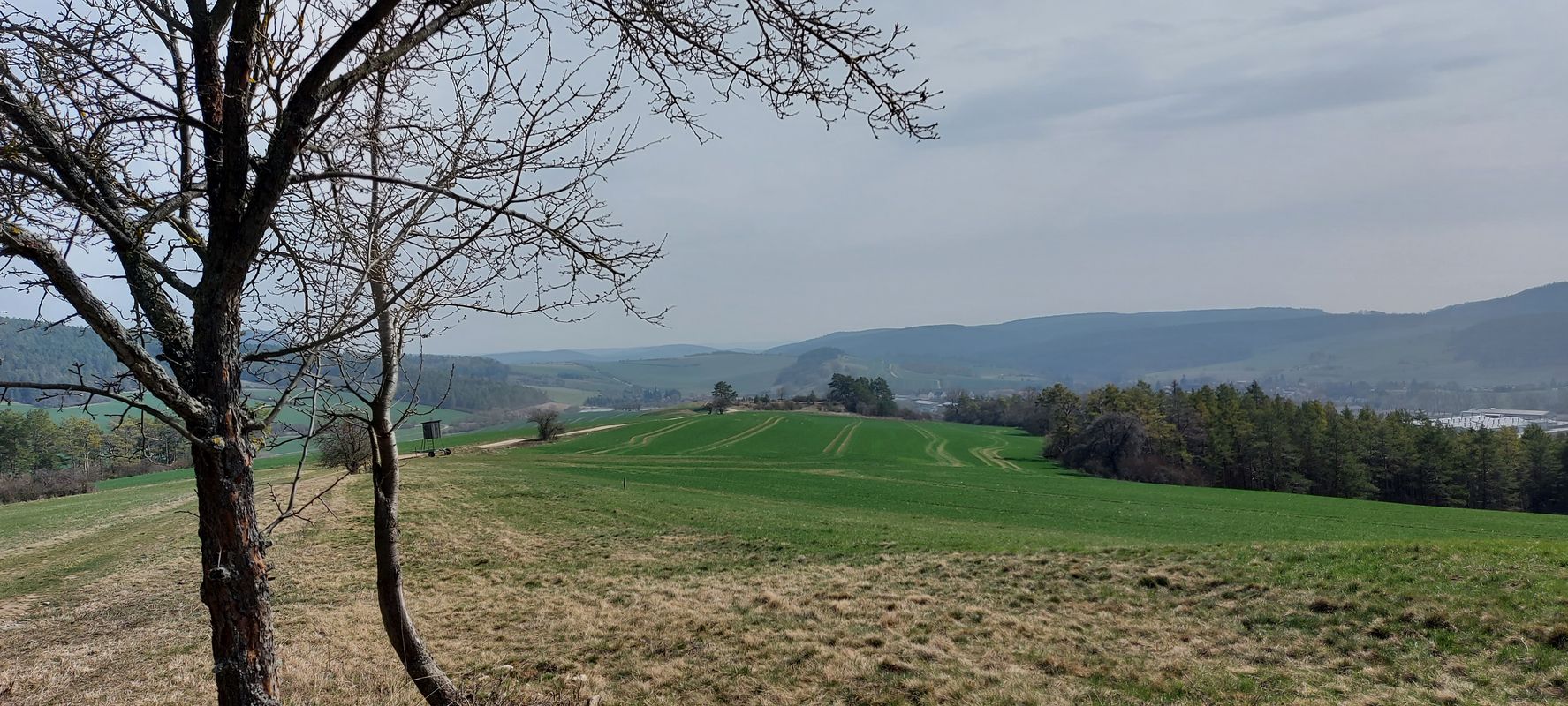 Wiesengrund 16, Ilmenau nach Wiesengrund 16, Ilmenau