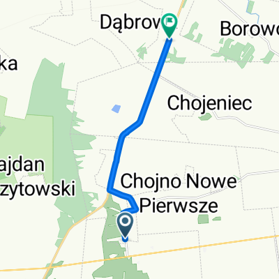 Wojciechów 3, Wojciechów do Wola Korybutowa Kolonia 55, Siedliszcze