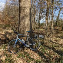 Kleine Nachmittagsrunde in Lohne