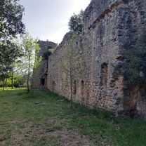 banyoles . navata