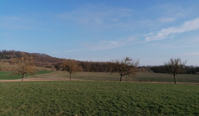 Foto 1 der Bikemap-Route "Unnamed Road, Künzelsau nach Unterhof 3, Künzelsau"