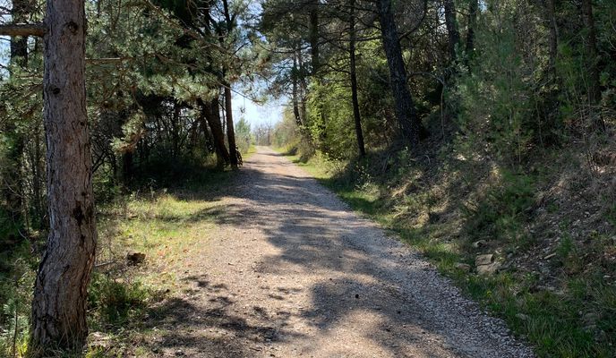 Photo 1 of the Bikemap route "Parenzana  Stanica 6, Grožnjan" Photo 1 of the Bikemap route "Parenzana  Stanica 6, Grožnjan"