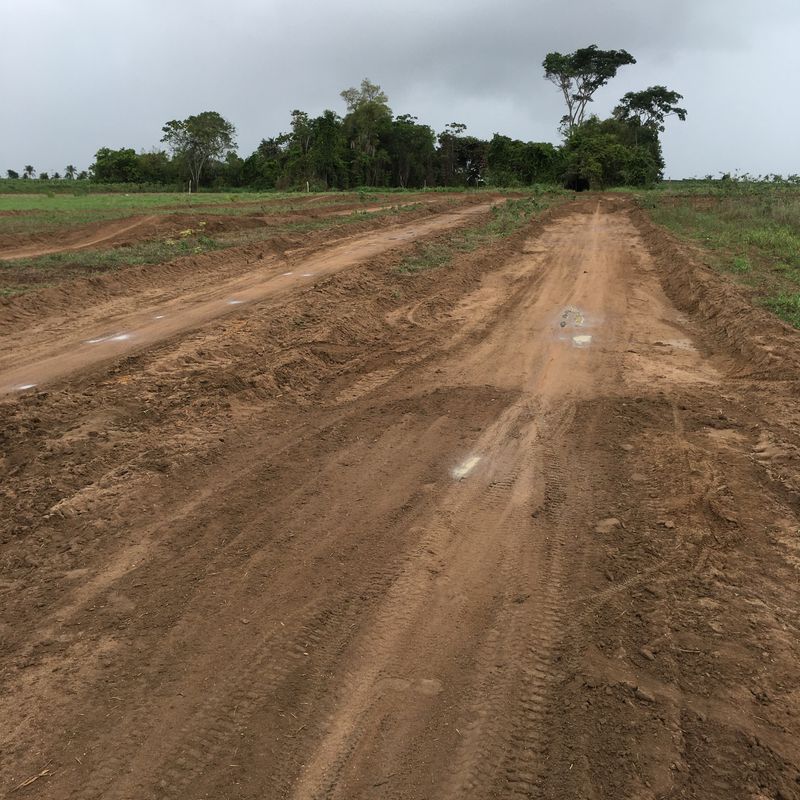 Pista Trilheiros de Plantão