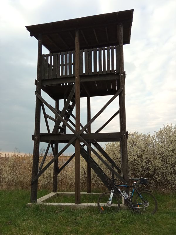 Photo 2: András Szabó