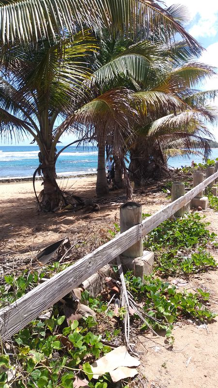 Rutaa Avenida Boca de Cangrejo (PR-187) 1ra Entrada Balneario Carolina. piñones