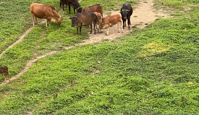 Photo 1 de l’itinéraire Bikemap « 屯馬-經南生圍同大水管 »