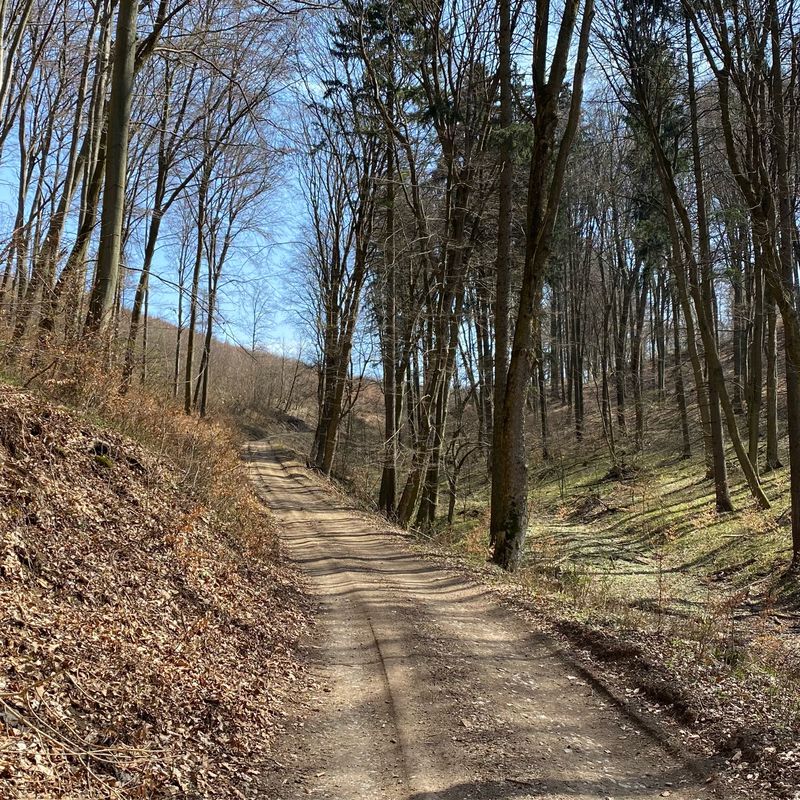 Trasa do Na Zongorke 7290/10, Trenčín