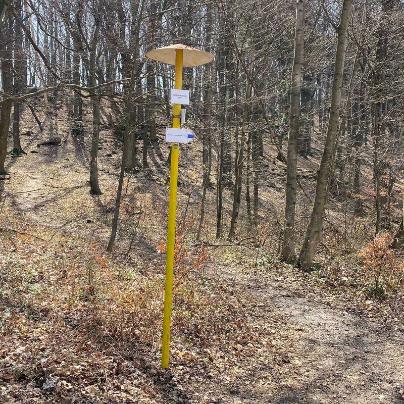 Trasa do Na Zongorke 7290/10, Trenčín