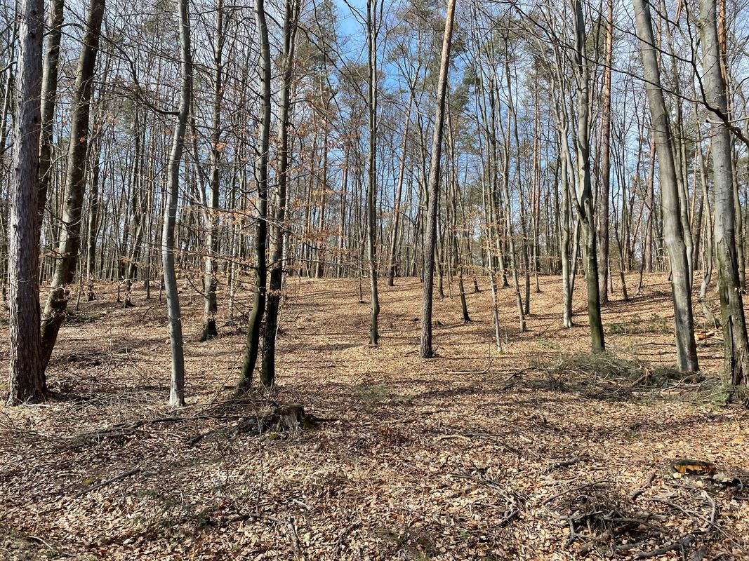 Osiedle Pod Kasztanami 7, Oleszyce do Osiedle Pod Kasztanami 4, Oleszyce