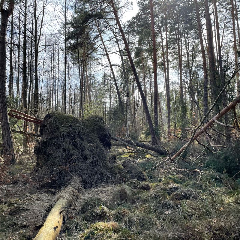 Osiedle Pod Kasztanami 7, Oleszyce do Osiedle Pod Kasztanami 4, Oleszyce