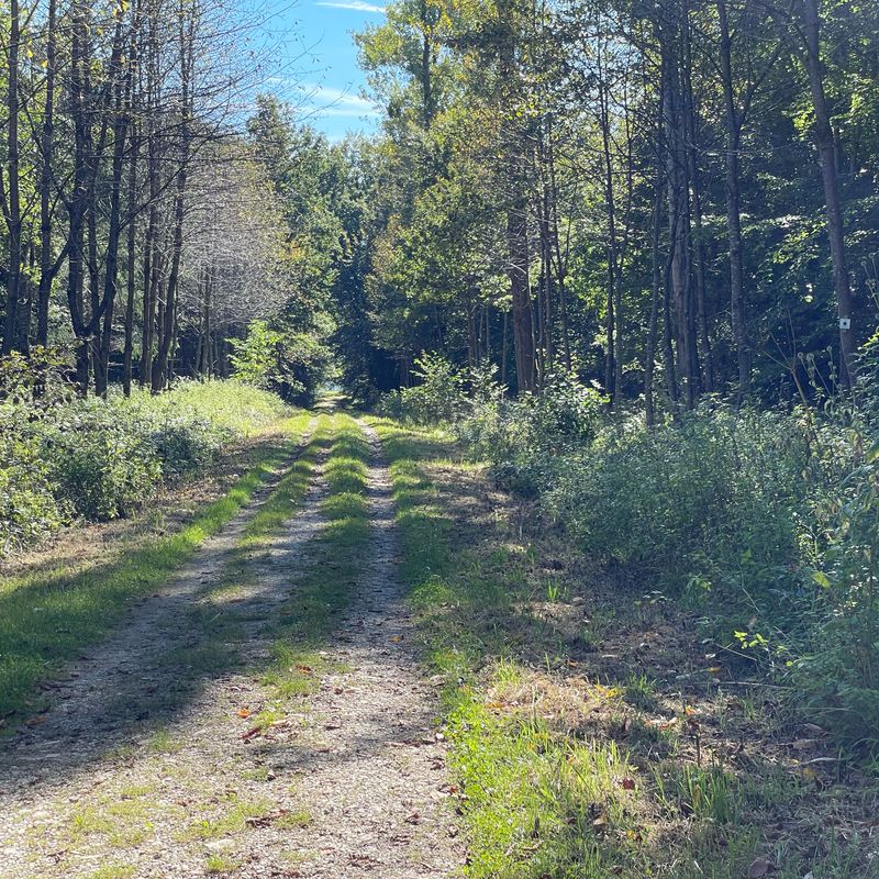 Möhringen - Reutlingen grün 42km 430hm