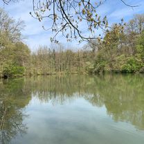 Via Pasquale Galluppi 59, Parma to Via Pasquale Galluppi 5, Parma