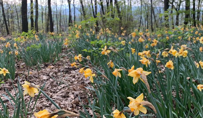 Foto 2 der Bikemap-Route "Via Pasquale Galluppi 59, Parma to Via Pasquale Galluppi 5, Parma"